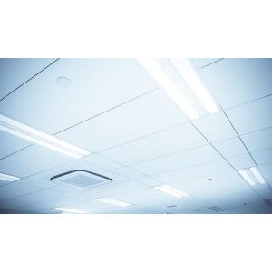 13_5_additional image.jpg image
